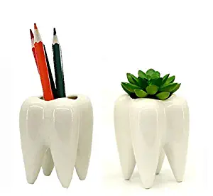 Gift Prod 2 Pcs Teeth Pots White Ceramic Succulent Planter Pots / Mini Flower Plant Containers Cute Animal Shaped Cartoon Planter Pots Plant Window Boxes (Style 11)