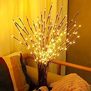 Aniai 2 Pack Led Lighted Twig Branches 40 LED Lights Artificial Tree Willow Branches Lamp for Home Holiday Party Decoration Decor Battery Operated (Warm White)