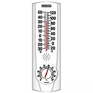 Springfield Vertical Thermometer and Hygrometer (9.125-Inch)