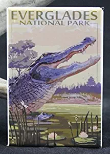 The Everglades National Park Travel Poster Refrigerator Magnet.