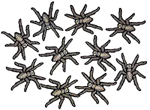 Halloween Scare Kit Creepy Spider Magnet Decorations for Refrigerator, Garage, or Car, 4 Inch, Pack of 10