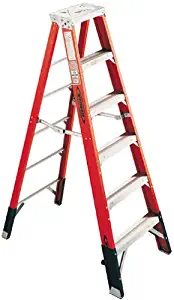 Werner 7410 Ladder, 10-Foot