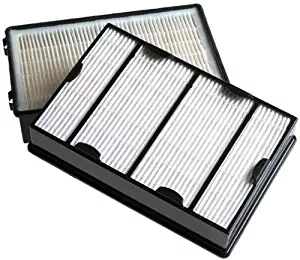 Holmes True HEPA Filter HAPF600D-U2, Filter B, 2 Pack