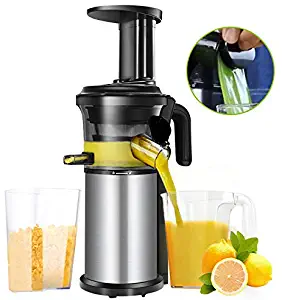 RUGU 200W 40RPM Stainless Steel Masticating Slow Auger Juicer Fruit and Vegetable Juice Extractor Compact Cold Press Juicer Machine,UK