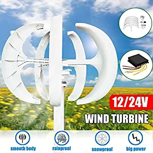 5000W Wind Turbines Generator, AC 12V 24V Wind Turbines Generator Lantern 5 Blades Motor Kit Vertical Axis for Home Hybrids Streetlight Electromagnetic