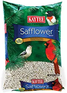 Kaytee Products TV208956 Safflower Seed, 10 lb