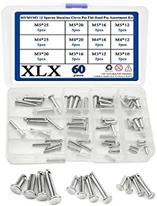 XLX 60PCS M3/M4/M5 12 Species Stainless Clevis Pin Flat Head Pin with Hole Location Pin T-Shape Round Pin Assortment Kit