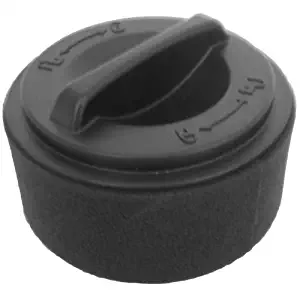 Bissell Vacuum 203-7593 Easy Vac 23T7 Dirt Cup Filter 2037593