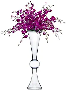 CYS GTR161 Clear Reversible Flare Open Trumpet Vase (4 Pack)